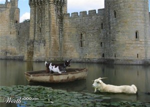 a-goat-in-a-boat-in-a-moat-300x214.jpg